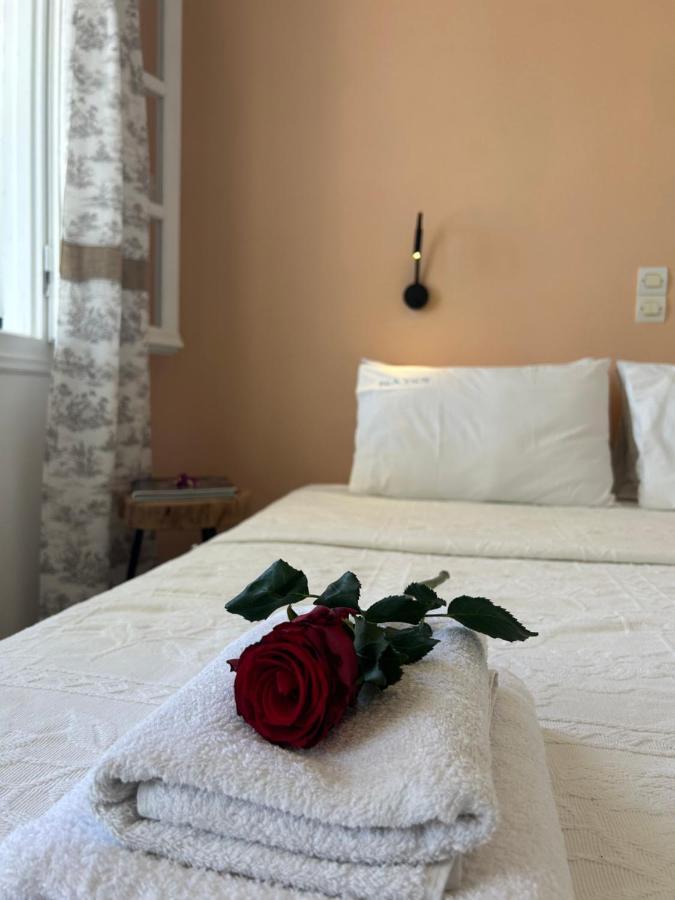 海景公寓及一室公寓酒店 Agia Anna  客房 照片